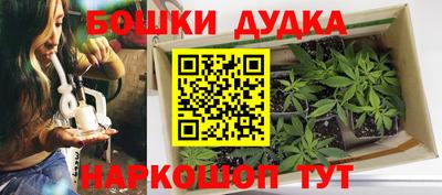 меф Гатчина