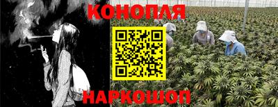 меф Гатчина
