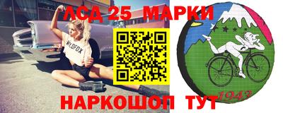 меф Гатчина